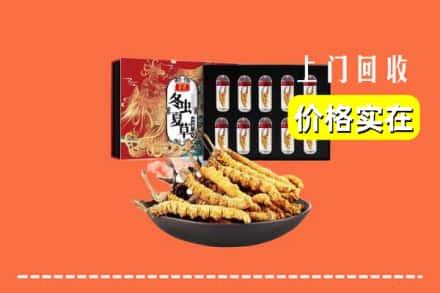 海棠区回收冬虫夏草